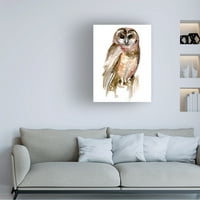 Jennifer Paxton Parker 'Watercolor Owl II' platno Art