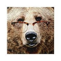 Stupell Wildlife Grizzly Bear Naočare Životinje I Insekti Slikarska Galerija Umotana Platnena Štampa Zidna