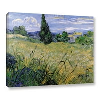 Zeleno pšenično polje sa platnom omotanom galerijom Cypress