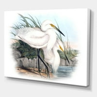 Designart 'Ancient Bird Life I' Tradicionalni Canvas Wall Art Print