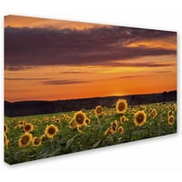 Zaštitni znak likovne umjetnosti' Sunflower Sunset ' platno Umjetnost Michael Blanchette Photography