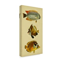 Zaštitni znak likovne umjetnosti' Trio tropskih riba II ' platno Art by Vision Studio